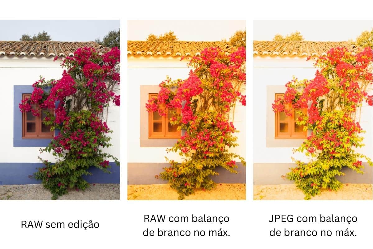 JPEG versus RAW: Qual é melhor?