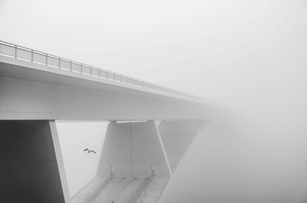 fotografar em preto e branco imagem 3